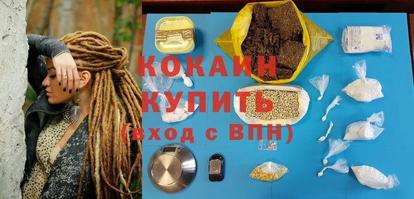 стаф Баксан
