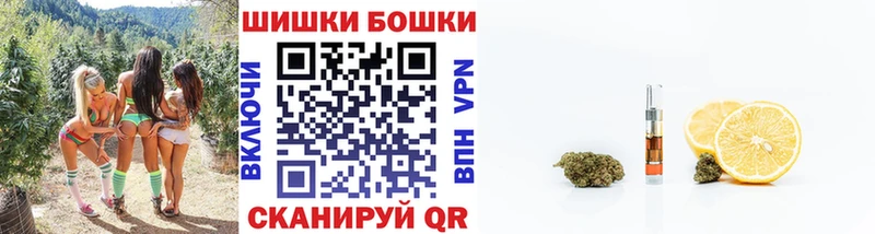 Конопля гибрид  где можно купить наркотик  Горняк 